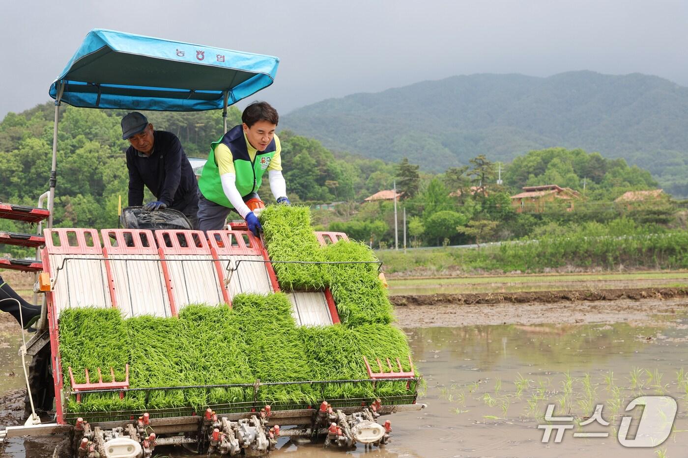 강원 농가소득이 사상 처음으로 5300만원을 넘어서며 전국 3위를 기록했다. 사진은 지난 15일 홍천군에서 &#39;일일 농부&#39;로 변신한 김진태 도지사의 모습.&#40;강원도 제공. 재판매 및 DB금지&#41;/뉴스1