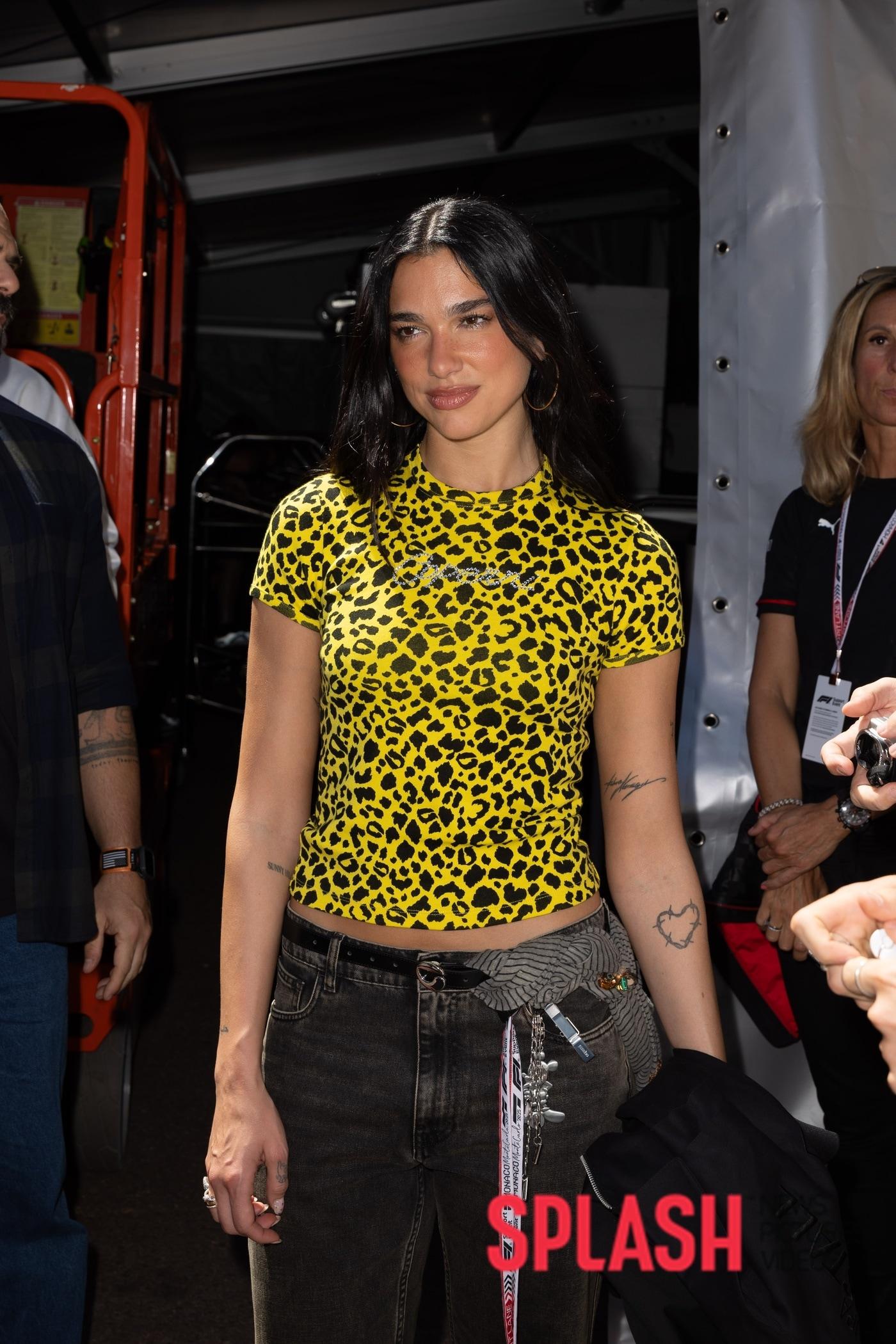 본문 이미지 - 두아 리파/사진=스플래시