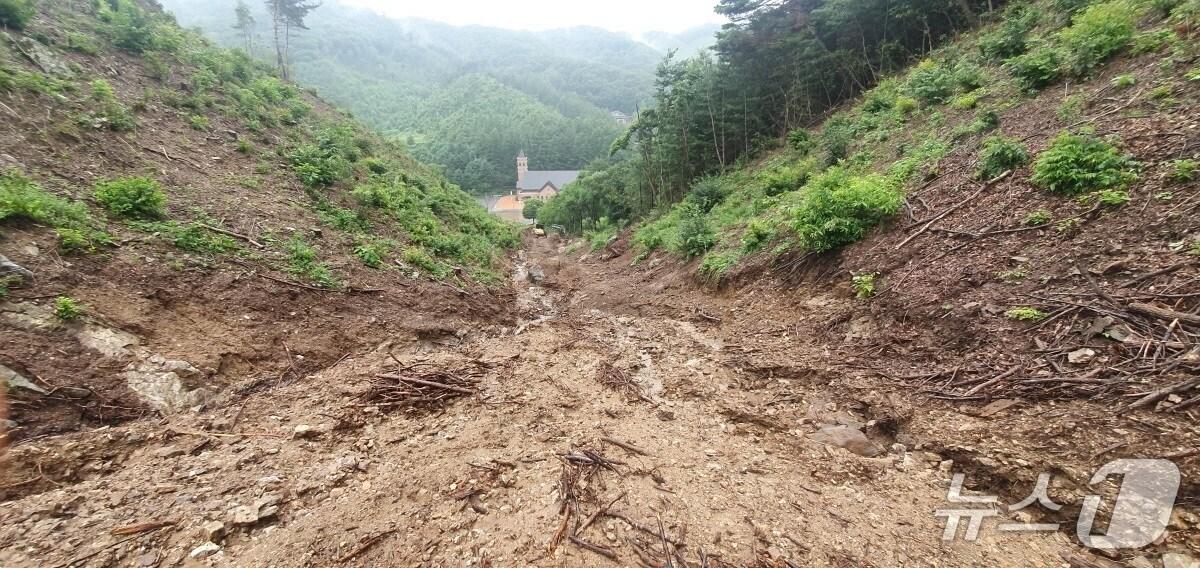 본문 이미지 - 진천군 백곡면 양백리 과거 산사태 발생 현장 모습.(진천군 제공, 재판매 및 DB금지)/뉴스1