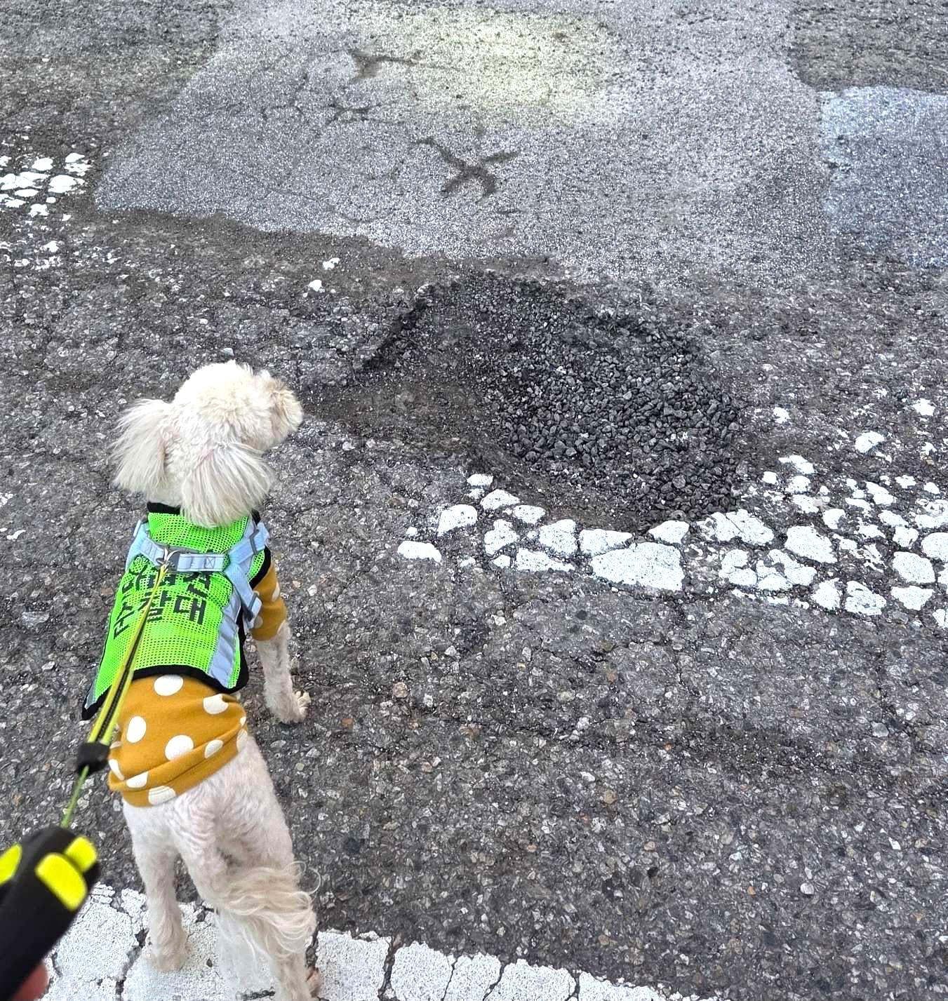 본문 이미지 - (서울시 제공)