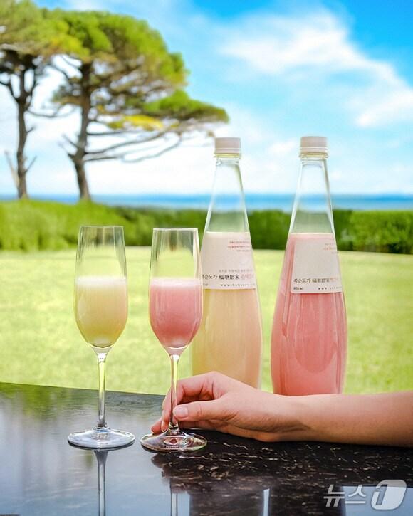 본문 이미지 - 프리미엄 전통주 브랜드 '복순도가'의 손막걸리와 빨간쌀 막걸리.(파라다이스 호텔 부산 제공. 재판매 및 DB 금지)