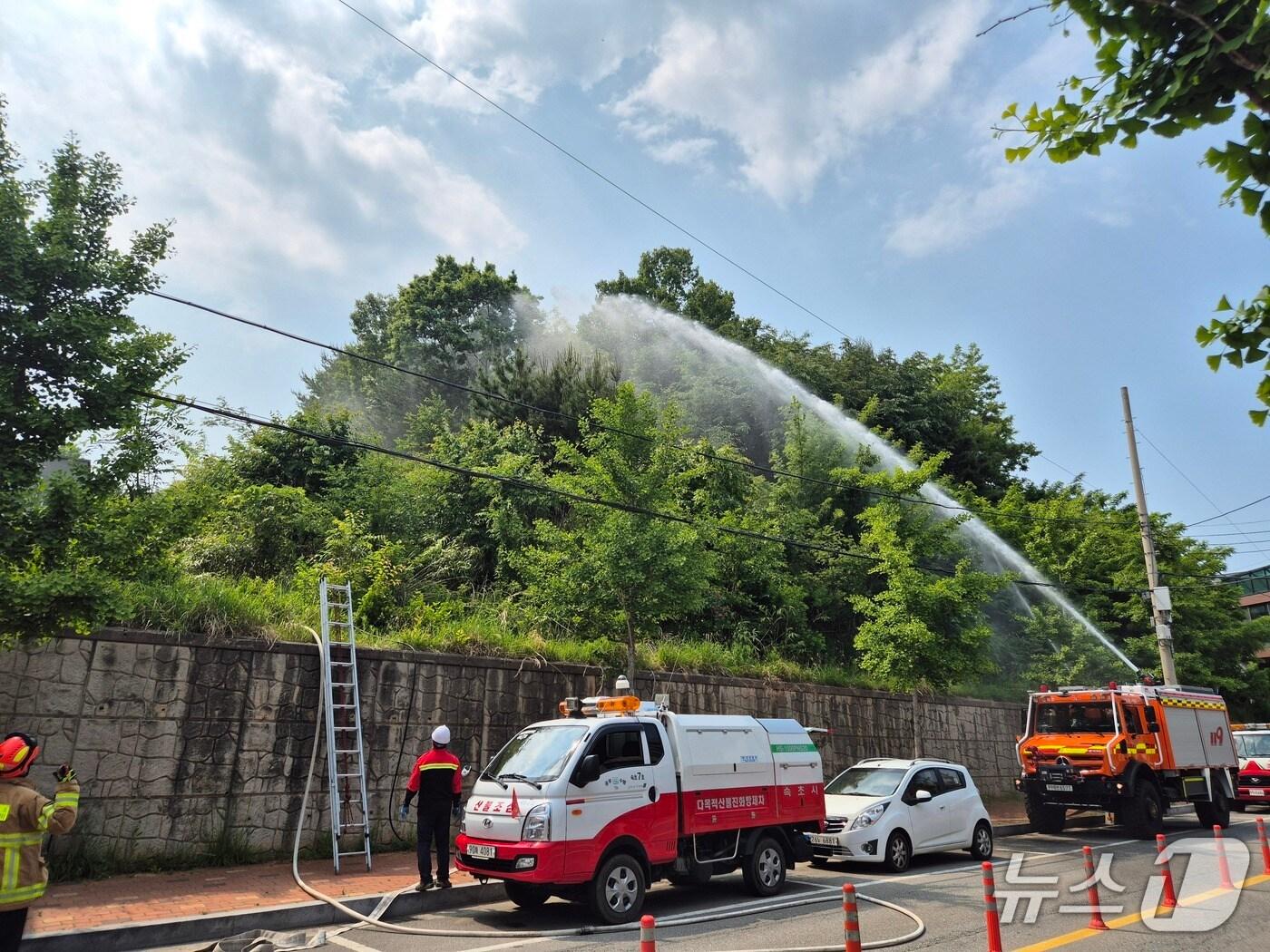 본문 이미지 - 속초시 상반기 문화재 화재 대응 훈련.(속초시 제공, 재판매 및 DB 금지) 2025.5.27/뉴스1