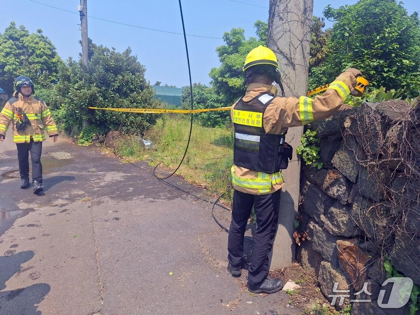 본문 이미지 - 27일 오후 제주 서귀포시 대정읍 무릉리에서 고압선 사고로 화재가 발생했다.(제주도소방안전본부 제공. 재판매 및 DB 금지)
