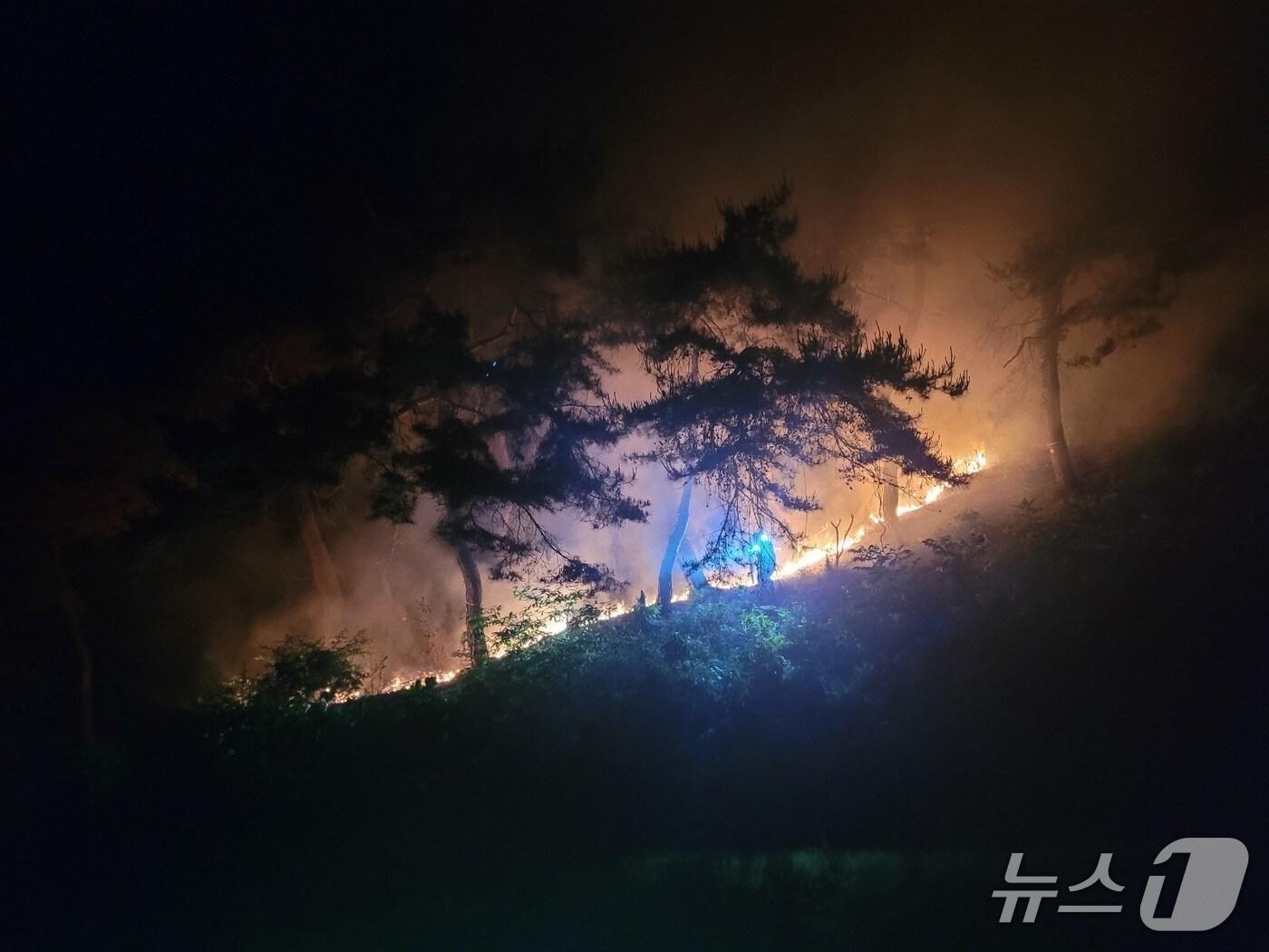 본문 이미지 - 천안 매당리 산불.(산림청 제공. 재판매 및 DB금지)