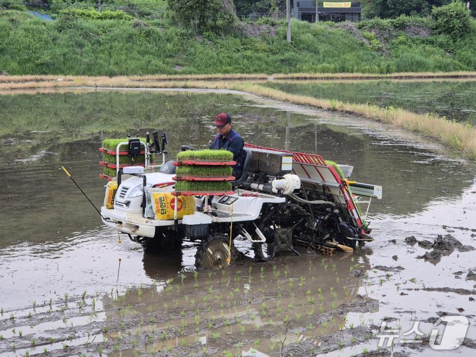 본문 이미지 - 자율주행 농기계 모습.(대전시 제공, 재판매 및 DB 금지)/뉴스1