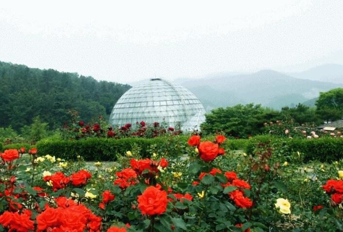 본문 이미지 -  충남산림자원연구소 장미원 전경. &#40;충남산림연구소 제공. 재판매 및 DB금지&#41; / 뉴스1