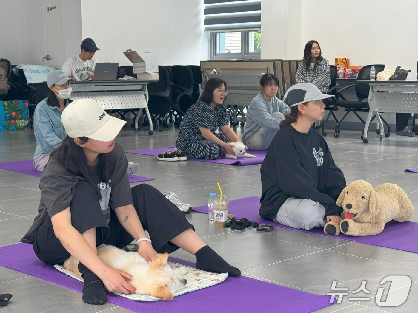 본문 이미지 - 전북 임실군이 오수반려누리에서 반려견과 보호자가 함께 참여하는‘쓰담 힐링 클래스’를 운영하고 있다.(임실군제공. 재판매 및 DB금지)2025.5.28/뉴스1