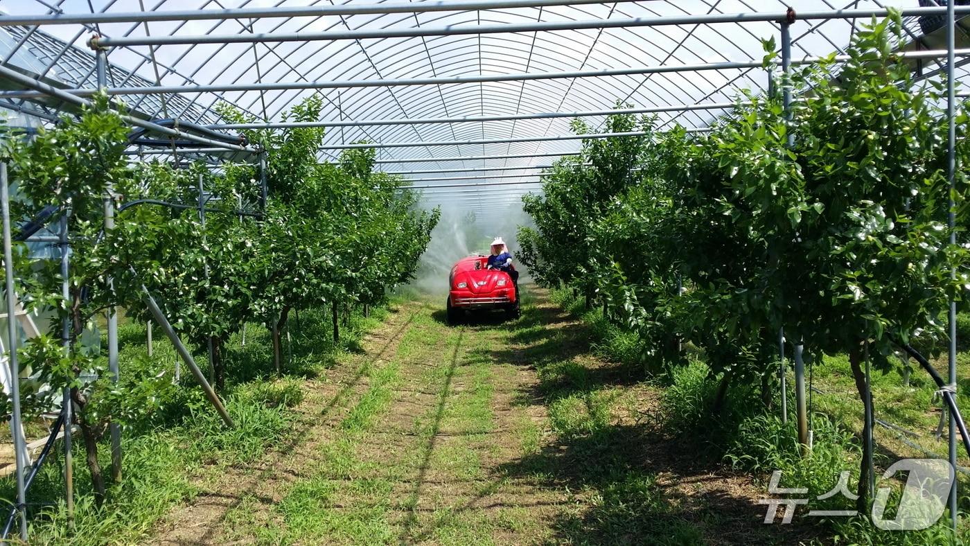 보 은군 돌발해충 공동방제 장면(보은군 제공. 재판매 및 DB금지) /뉴스1