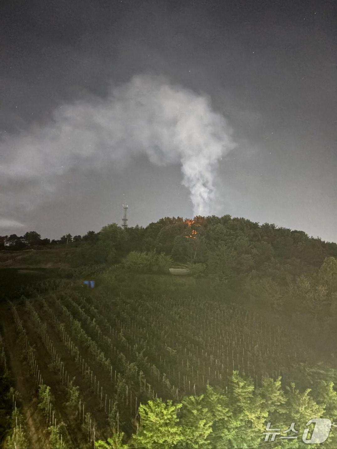 본문 이미지 -  예산군 예산읍 주교리 산불 현장. (산림청 제공, 재판매 및 DB금지) / 뉴스1