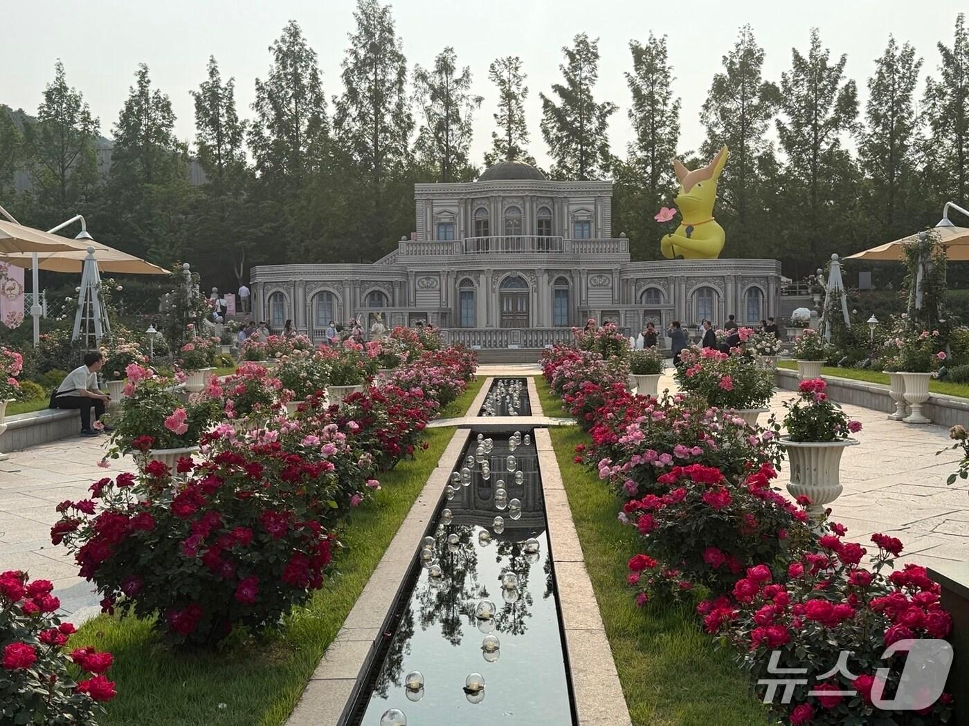 본문 이미지 - 장미축제가 열리고 있는 에버랜드 장미원 전경. ⓒ 뉴스1 김형준 기자