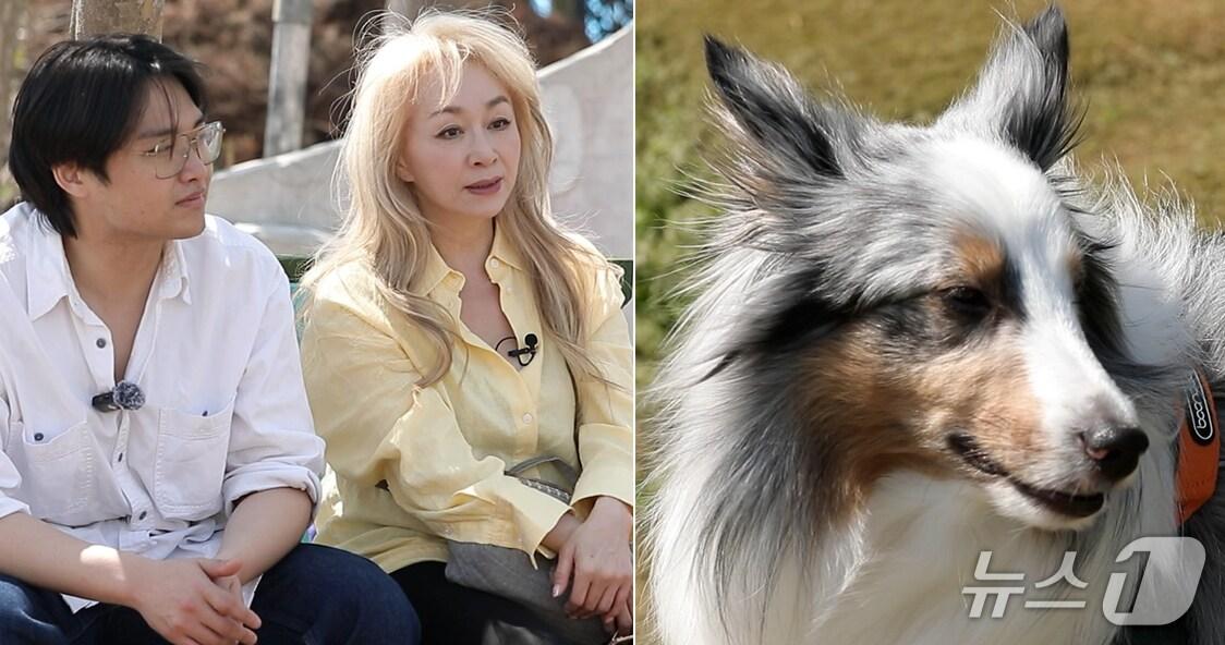 본문 이미지 - '2025-2026 충남 방문의 해' 홍보대사 뮤지컬 배우 박해미 씨와 아들 황성재 씨. 반려견 '키리‘ (충남도 제공.재판매 및 DB금지)2025.5.29/뉴스1