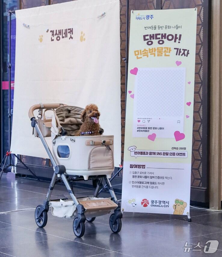 본문 이미지 - 광주시 반려동물 동반 문화나들이.(광주시 제공. 재판매 및 DB 금지) 