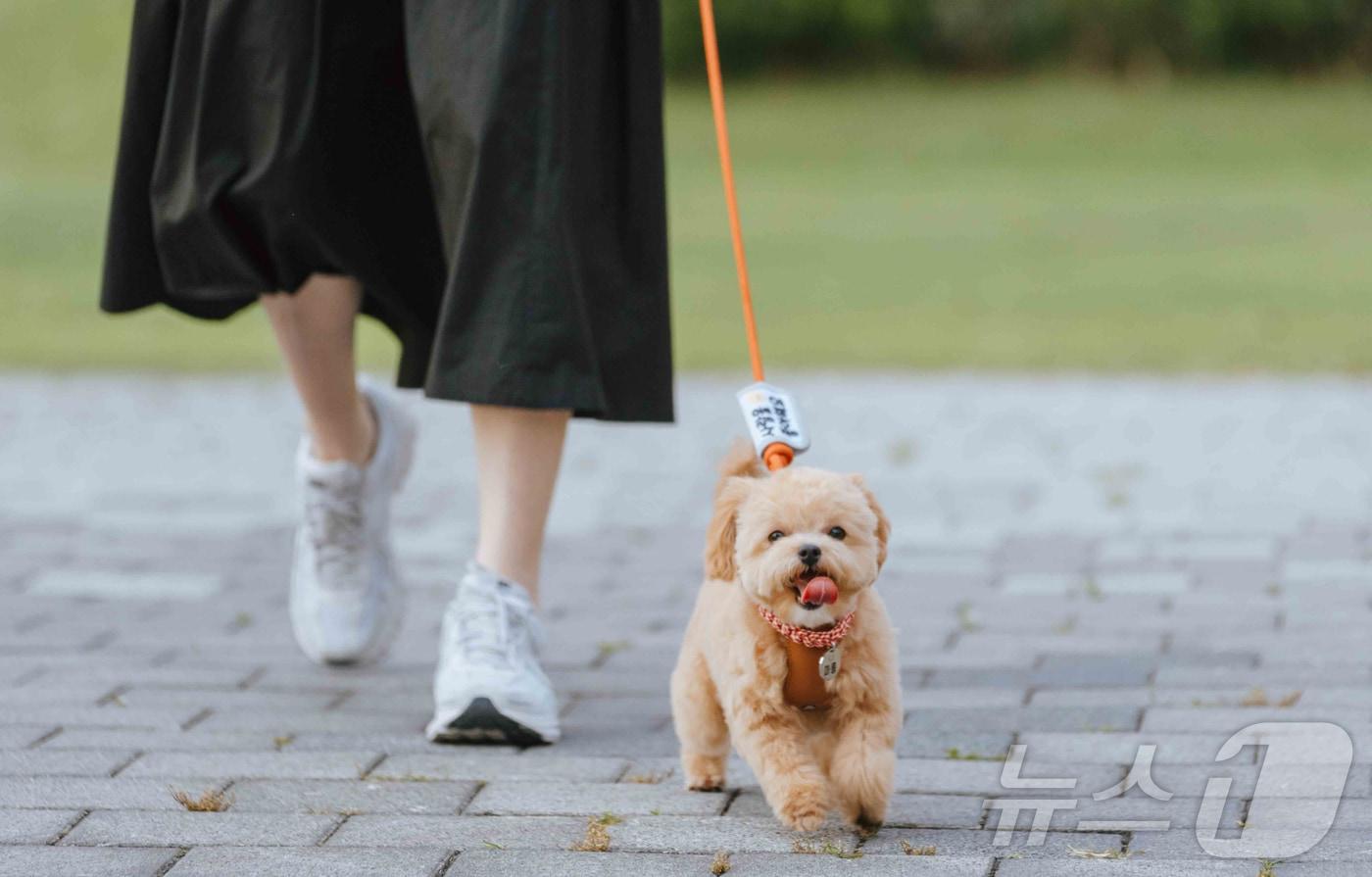 본문 이미지 - 반려동물 동반 문화 나들이 (ACC 제공. 재판매 및 DB금지) /뉴스1 2025.5.29/뉴스1 ⓒ News1 김태성 기자
