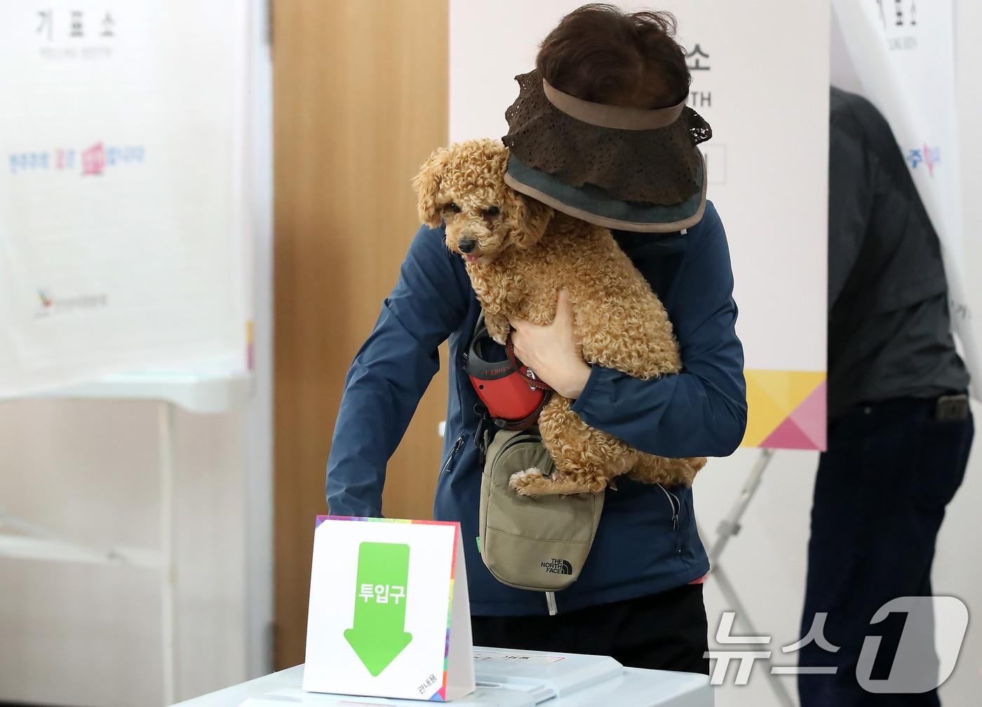 본문 이미지 - 제21대 대통령선거 사전투표 첫날인 29일 오후 대구 북구 관음동 어울아트센터에 마련된 사전투표소에서 한 유권자가 반려견과 함께 투표하고 있다. 2025.5.29/뉴스1 ⓒ News1 공정식 기자