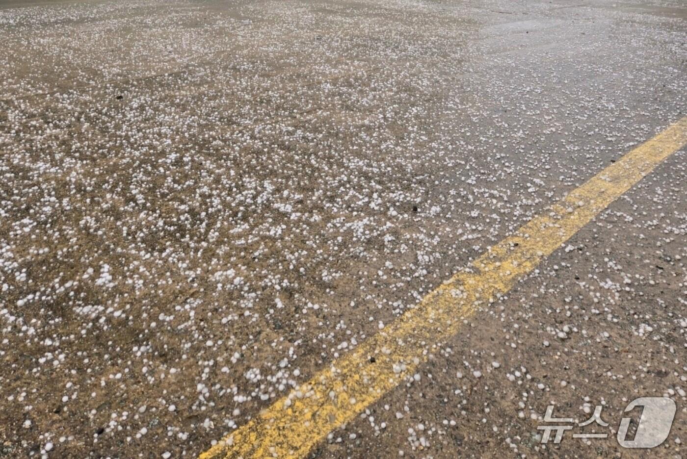  지난 28일 갑작스러운 우박으로 충북 충주 주덕읍·앙성면 일대 농작물 5㏊ 면적이 피해가 났다.(SNS 커뮤니티 캡처. 재판매 및 DB금지)뉴스1