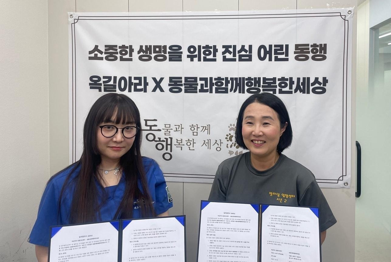 본문 이미지 - 옥길아라동물의료센터가 동물보호단체 '동물과 함께 행복한 세상'과 유기동물 보호를 위한 업무협약을 체결했다(동물병원 제공). ⓒ 뉴스1