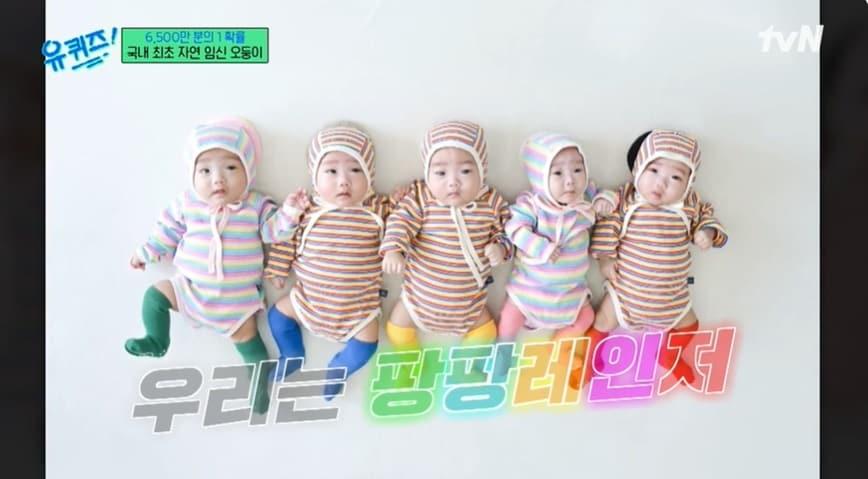 본문 이미지 - (tvN '유 퀴즈 온 더 블럭' 갈무리)