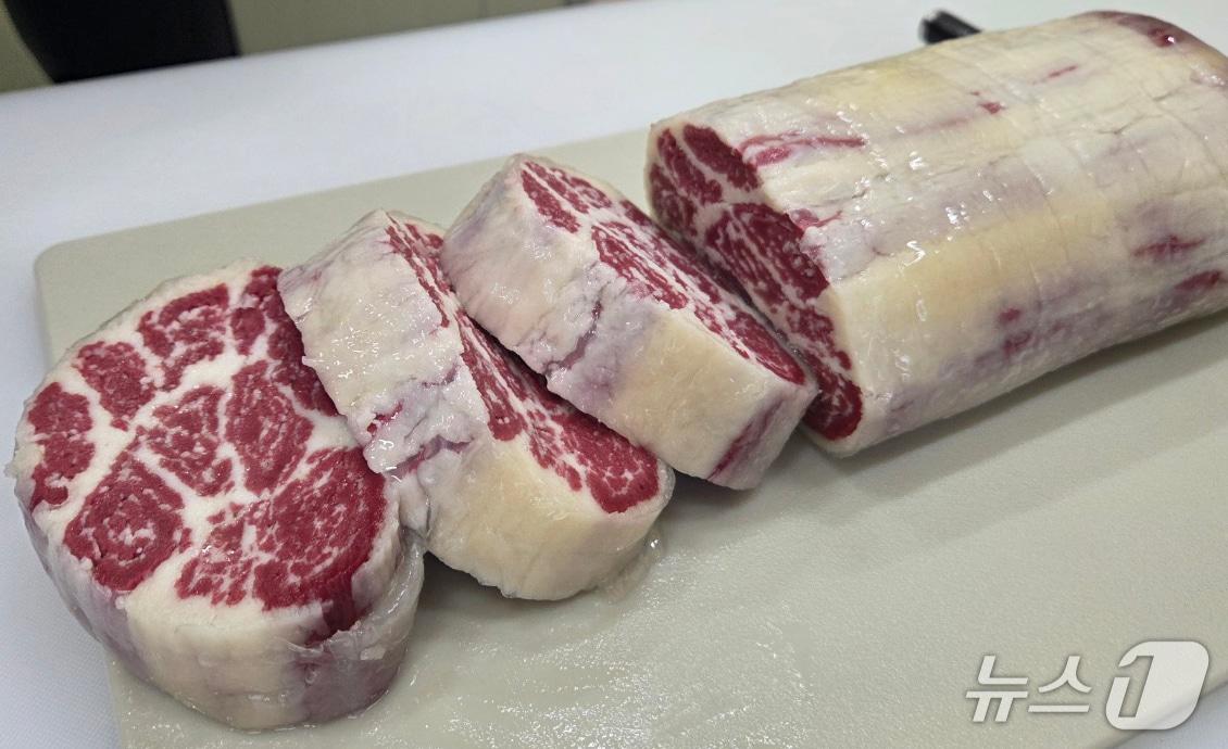 본문 이미지 - 오렌지카우에서 개발한 하이브리드 배양육(경상국립대 제공. 재판매 및 DB금지).