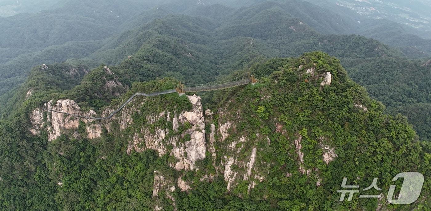 운악산 출렁다리 (포천시 제공. 판매 및 DB금지) 2025.5.29/뉴스1