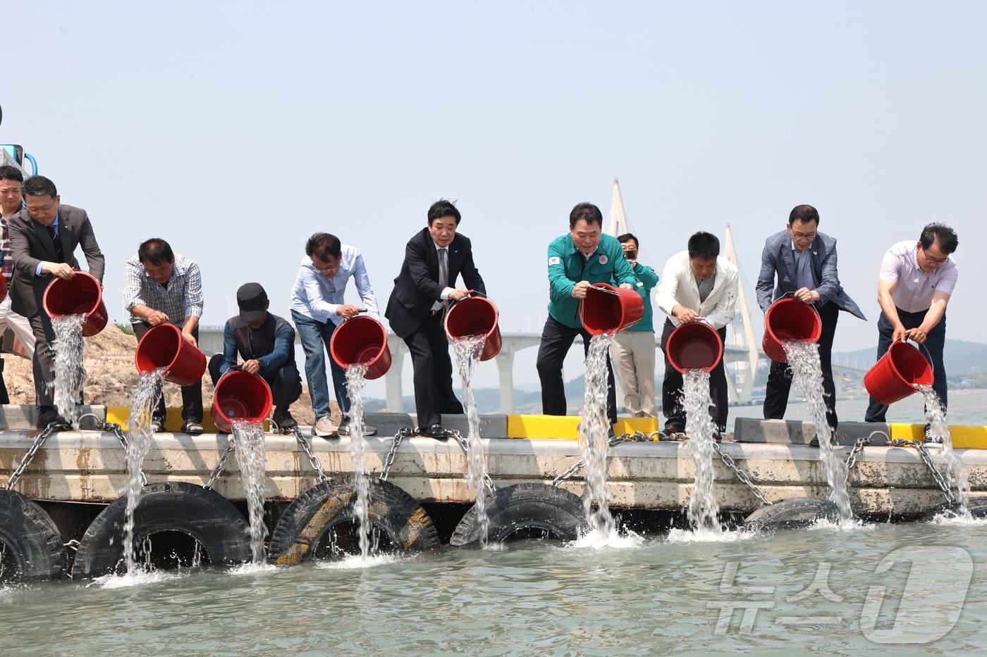 무안 해제면 도리포항에서 진행한 감성돔 종자 방류 &#40;무안군 제공. 재판매 및 DB금지&#41; /뉴스1 