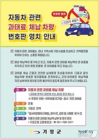 본문 이미지 - 기장군 번호판 영치 활동 실시 안내문.(기장군청 제공. 재판매 및 DB 금지)