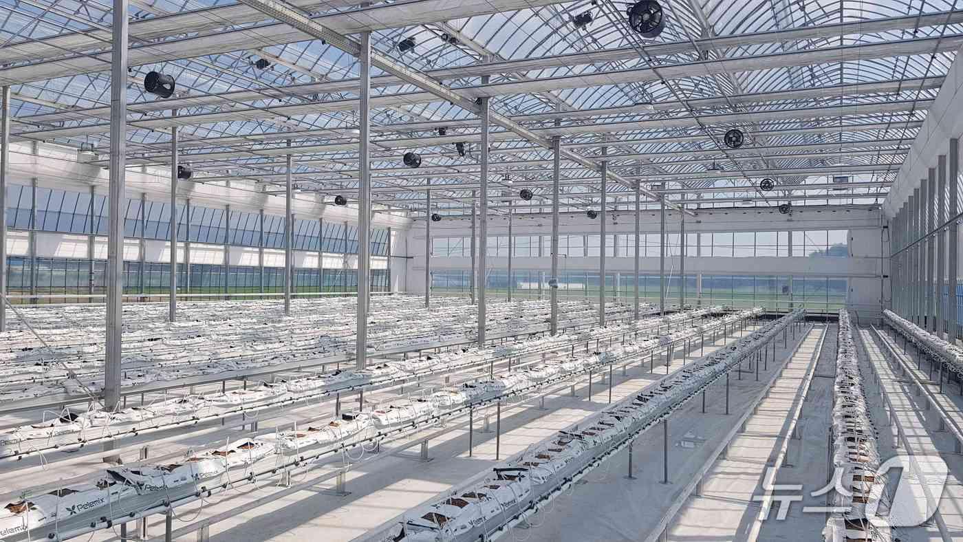 스마트팜 내부 모습.(서천군 제공, 재판매 및 DB 금지)/뉴스1