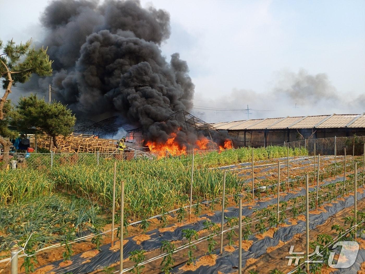 본문 이미지 -  천안 동남구 성남면 산란계 농장 화재 현장. (천안동남소방서 제공, 재판매 및 DB금지) / 뉴스1