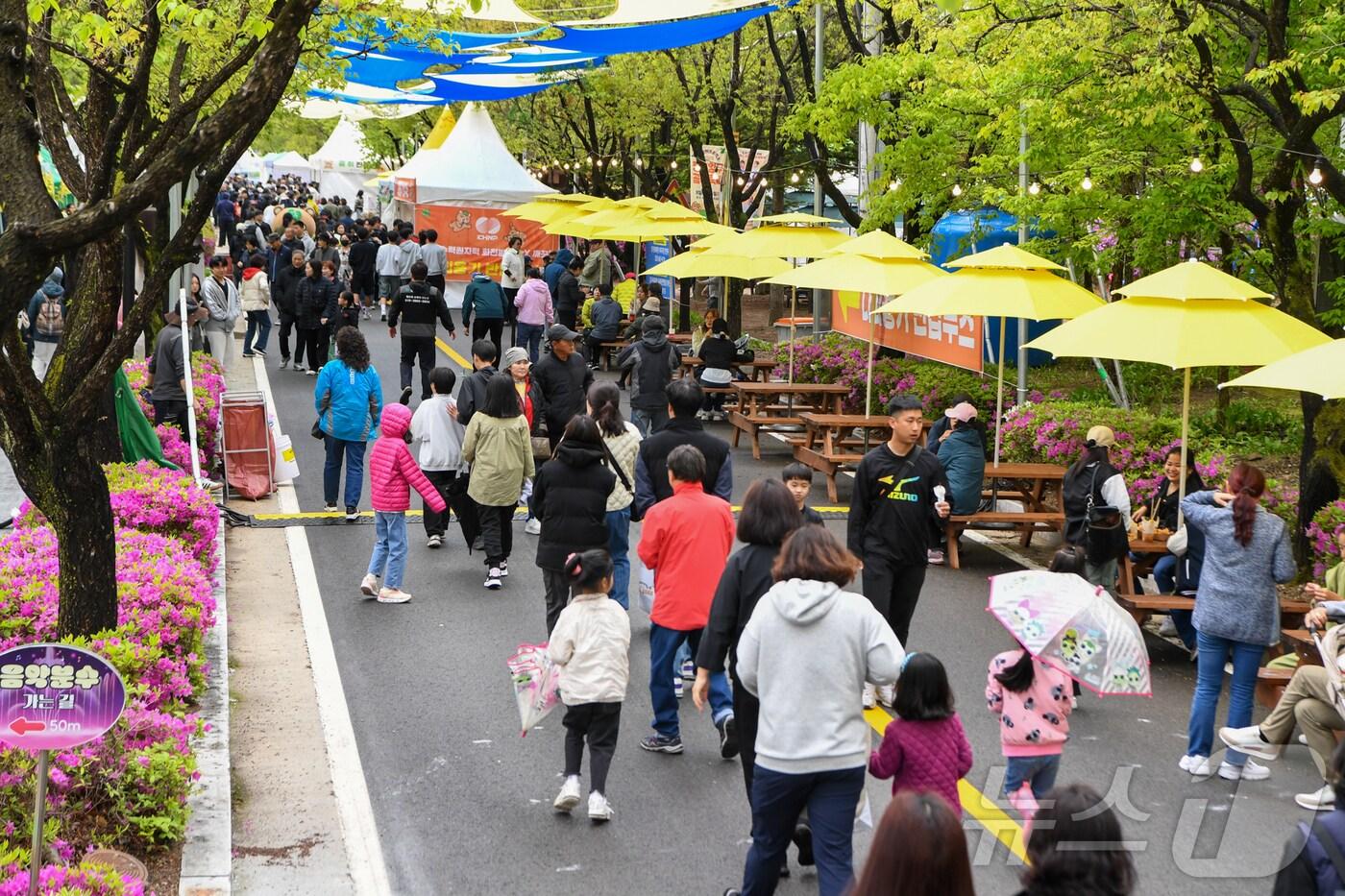 3일 양구읍 서천 레포츠공원 일원에서 개막한 &#39;2025 청춘 양구 곰취 축제&#39;에서 관광객들이 즐거운 시간을 보내고 있다. ‘럭키 곰취 프로젝트’를 슬로건으로 기획된 이번 축제는 오는 6일까지 이어진다. &#40;양구군 제공. 재판매 및 DB금지&#41; 2025.5.3/뉴스1 ⓒ News1 이종재 기자
