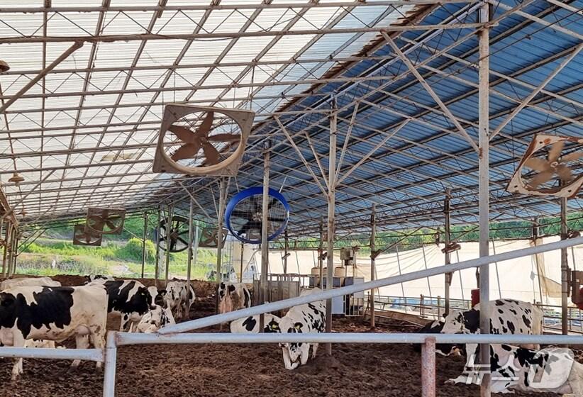 본문 이미지 - 전북 임실군이 여름철을 앞두고 축산농가의 자연 재난 피해를 사전 예방하기 위해 축산시설에 대한 사전 안전점검을 실시한다.(임실군제공. 재판매 및 DB금지)2025.5.30/뉴스1