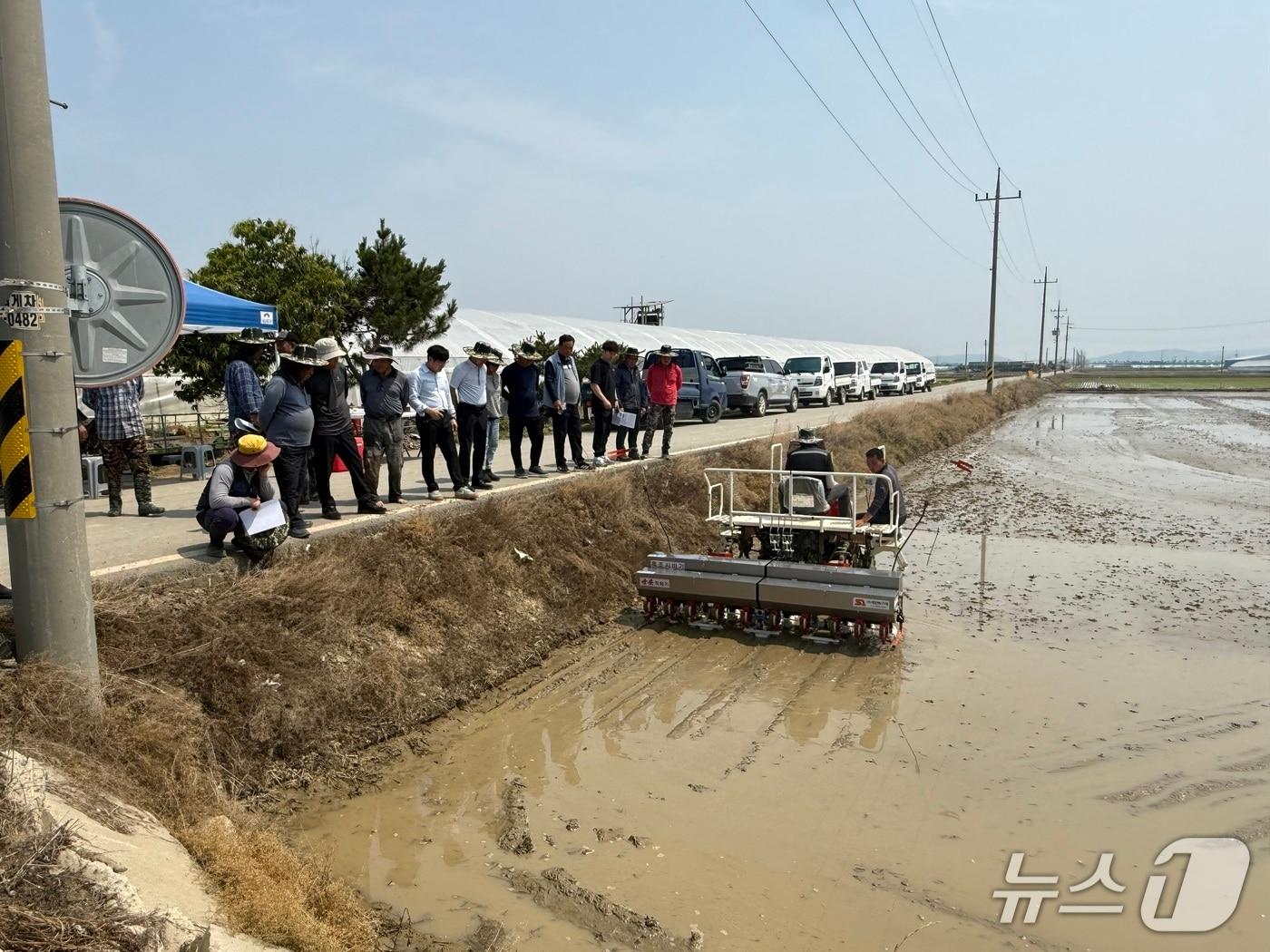 본문 이미지 - 벼 무논직파 연시회 모습.(부여군 제공 .재판매 및 DB금지)/뉴스1