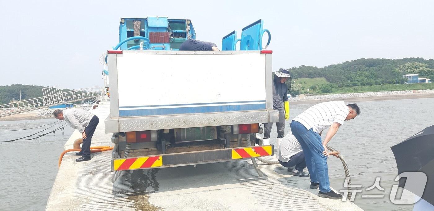 홍성군 관계자가 서부면 속동항에서 대하 종자를 방류 하고 있다. (홍성군 제공, 재판매 및 DB금지) / 뉴스1