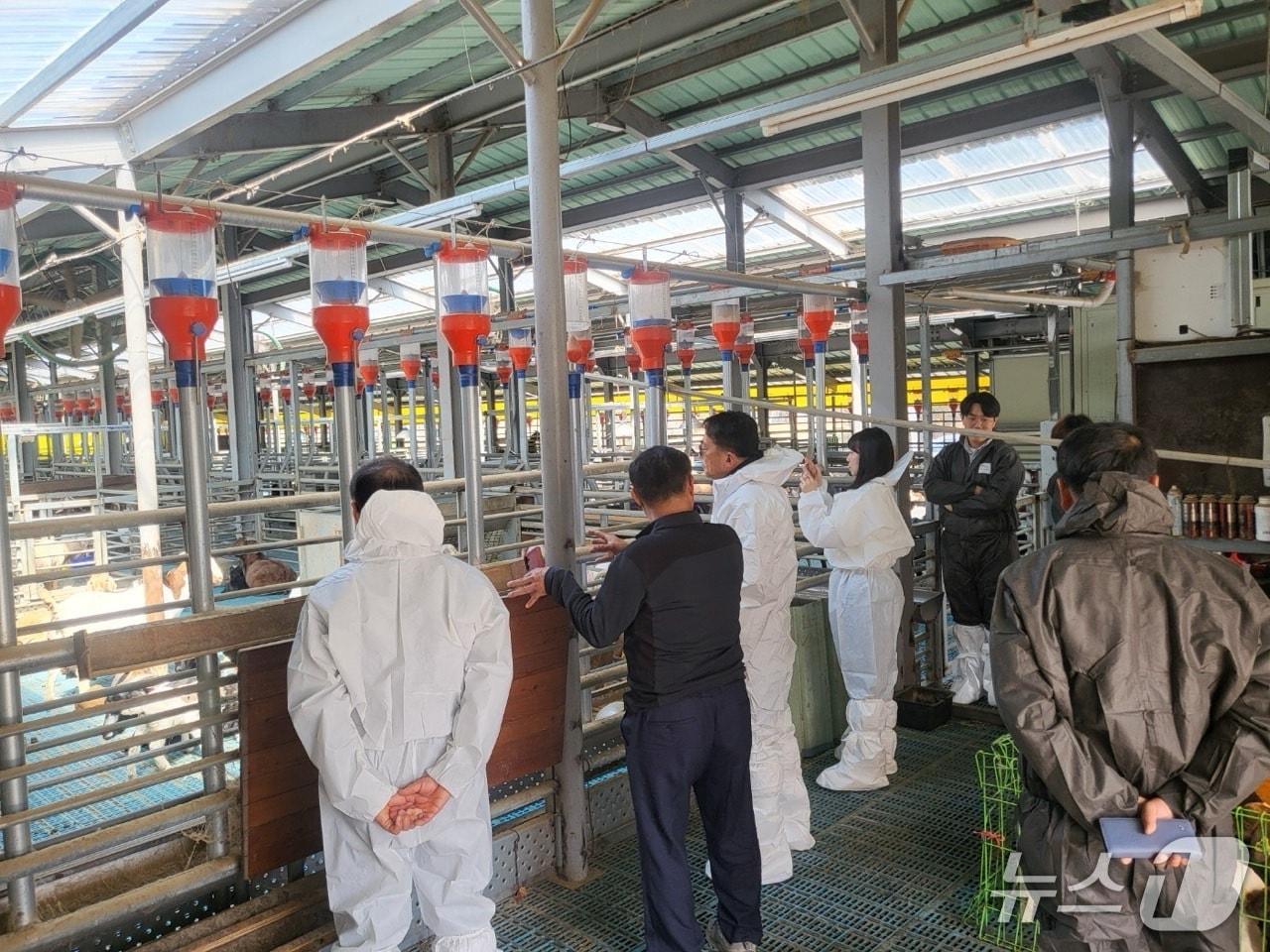 본문 이미지 - 축사 안전점검 모습.(전북도 제공. 재판매 및 DB금지)/뉴스1