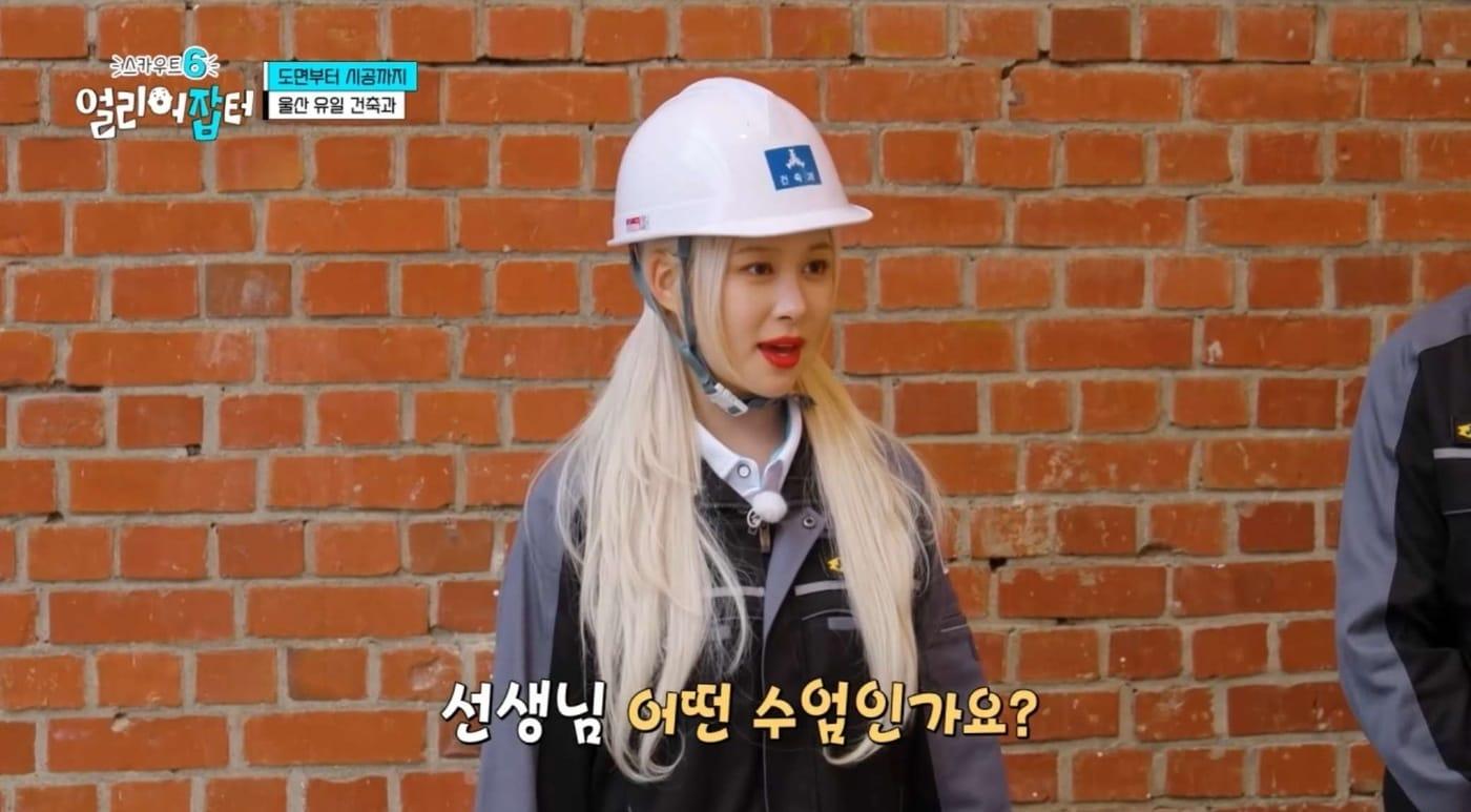 KBS 1TV &#39;스카우트6 얼리어잡터&#39; 방송 화면 캡처