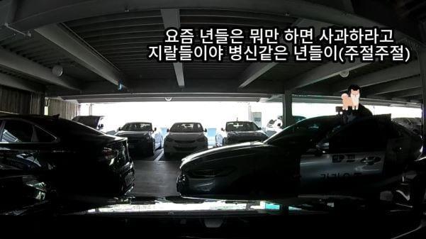 본문 이미지 - (온라인 커뮤니티 '보배드림' 갈무리)