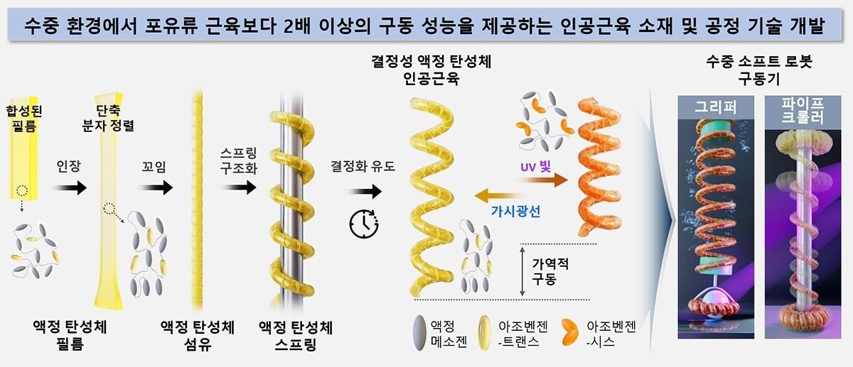 본문 이미지 - 광화학 기반 로봇용 인공근육 개발 모식도.(한국화학연구원 제공. 재판매 및 DB금지)