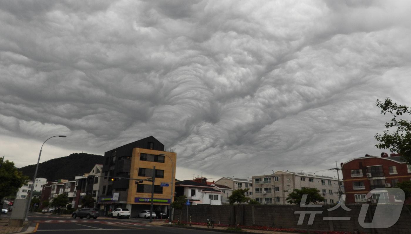본문 이미지 - 어린이 날이자 부처님 오신 날인 5일 오후 제주시 연동 하늘에 '거친물결구름'이 떠 있다. 거친물결구름은 상층의 찬 공기와 하층의 따뜻한 공기가 강하게 충돌하면서 대기가 불안정할 때 만들어진다.2025.5.5/뉴스1 ⓒ News1 오미란 기자