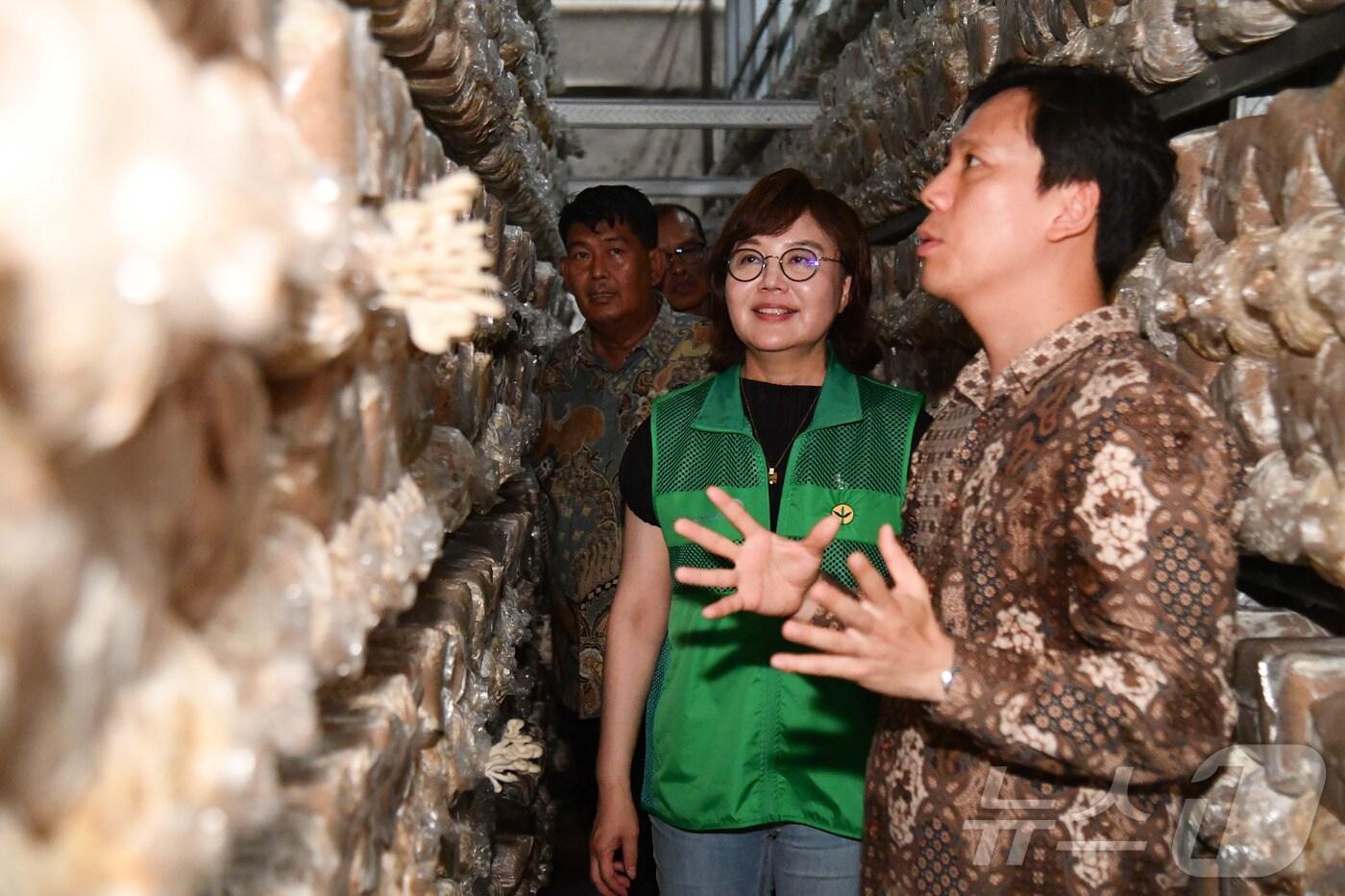 본문 이미지 - 경북도 양금희 경제부지사는 인도네시아 새마을버섯센터를 방문해 지속적인 우호협력을 확인하고 있다. ⓒ News1 김대벽기자