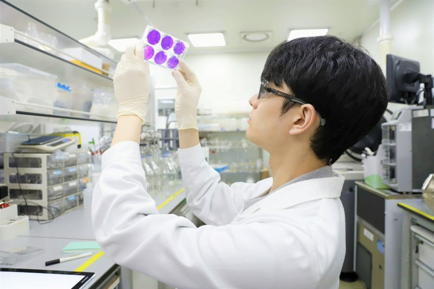 SK바이오사이언스 연구원이 조류독감 백신 후보물질에 대한 분석 실험중이다.(SK바이오사이언스 제공)