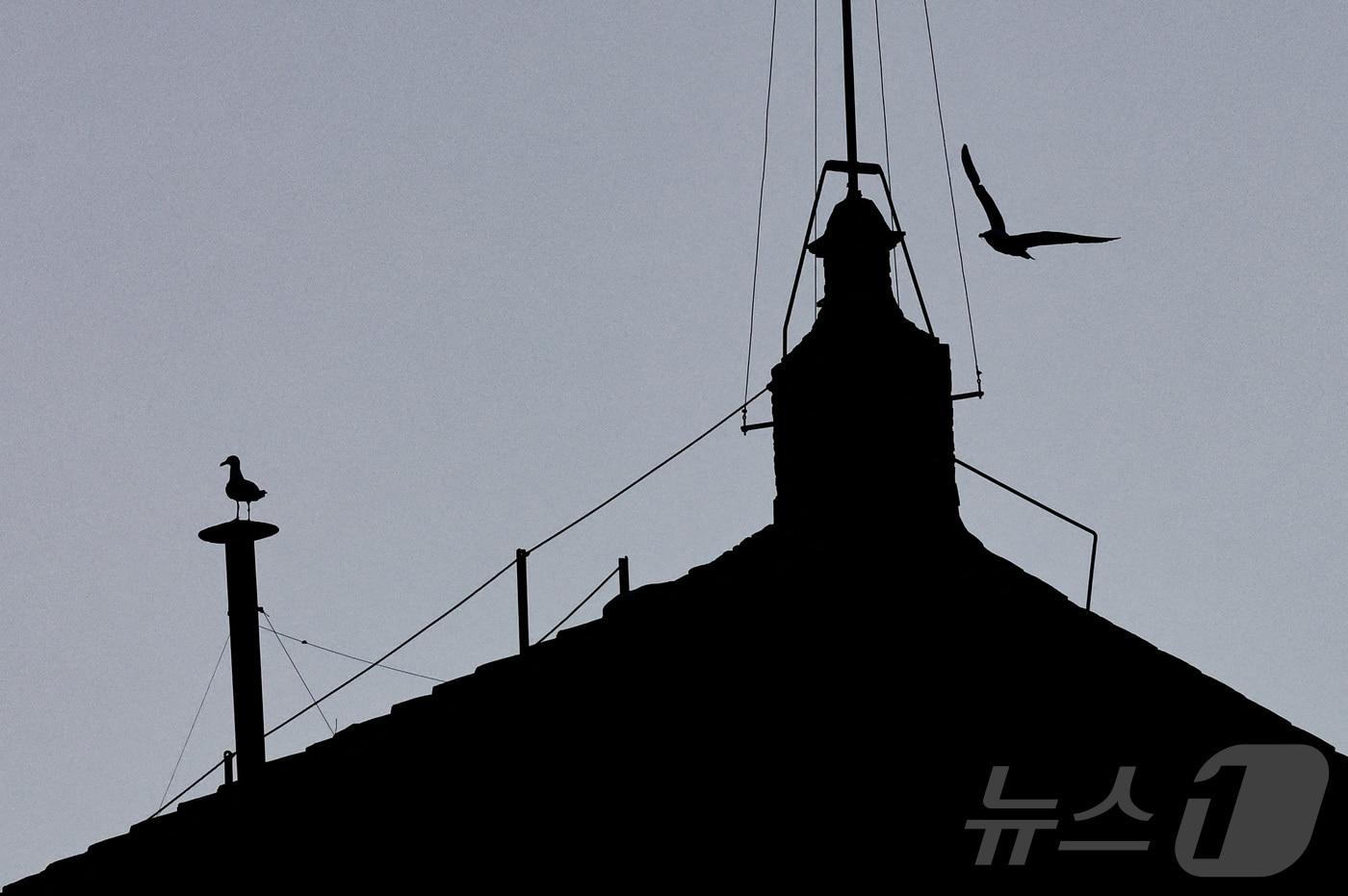 7일(현지시간) 바티칸 시스티나 성당에 교황의 선출을 알리는 굴뚝이 설치됐다. ⓒ 로이터=뉴스1 ⓒ News1 김예슬 기자