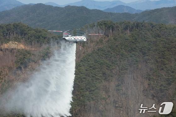 본문 이미지 - 2024년 해외에서 임차한 대형헬기 (산림청 제공.재판매 및 DB금지)/뉴스1