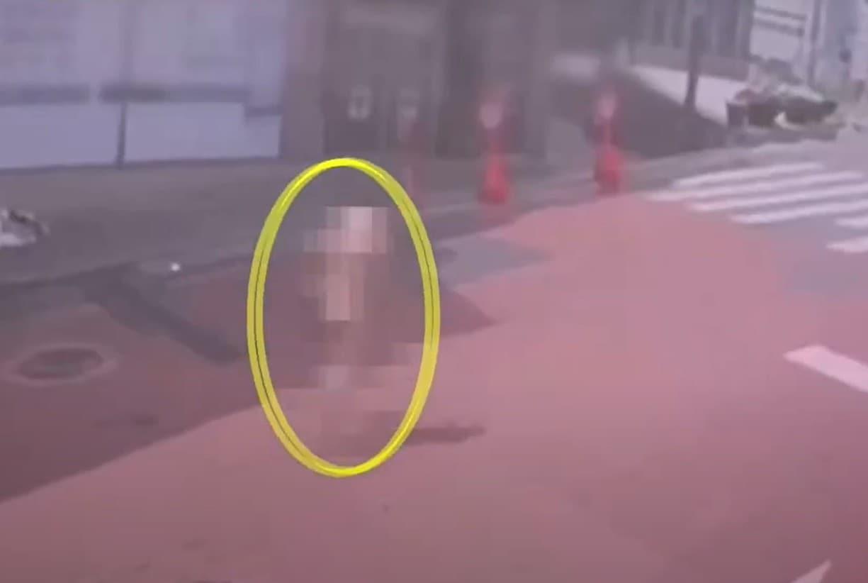 본문 이미지 - (TV조선 갈무리)