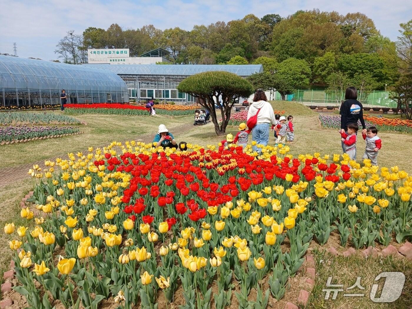 본문 이미지 - 옥천군 농심테마공원 안에 봄꽃이 활짝 펴 시민들이 발길이 이어지고 있다. (옥천군 제공. 재판매 및 DB금지) /뉴스1