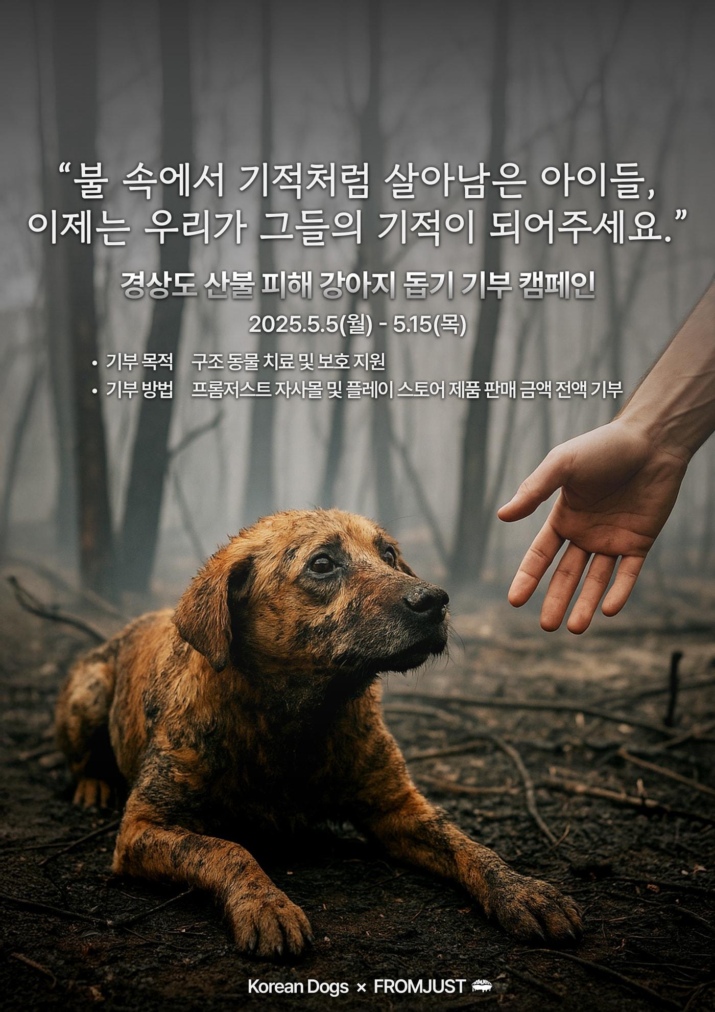 본문 이미지 - 산불 피해 강아지 돕기 포스터(프롬저스트 제공) ⓒ 뉴스1