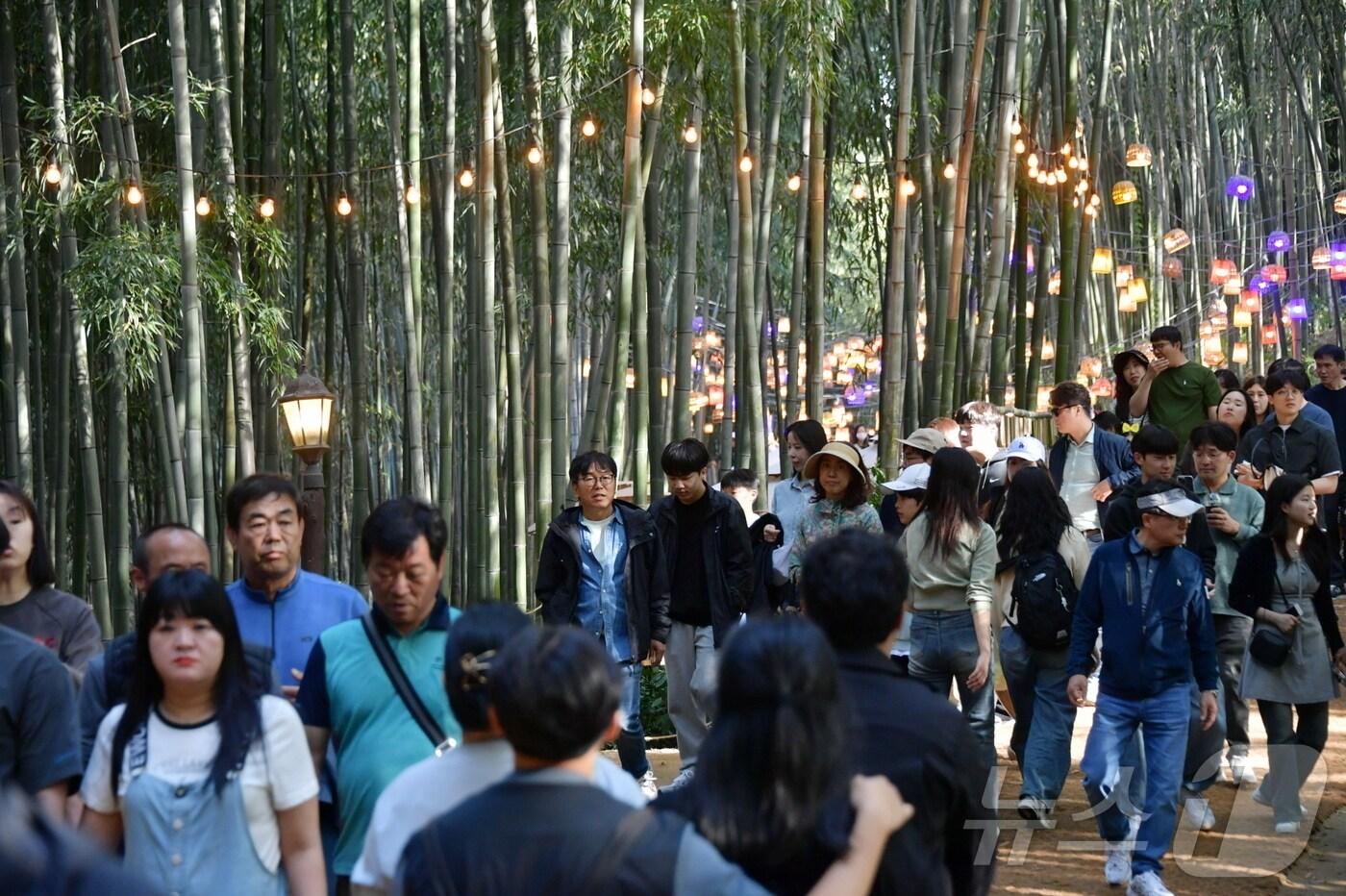 담양 대나무축제 풍경.(전남 담양군 제공. 재배포 및 DB 금지) 2025.5.7/뉴스1