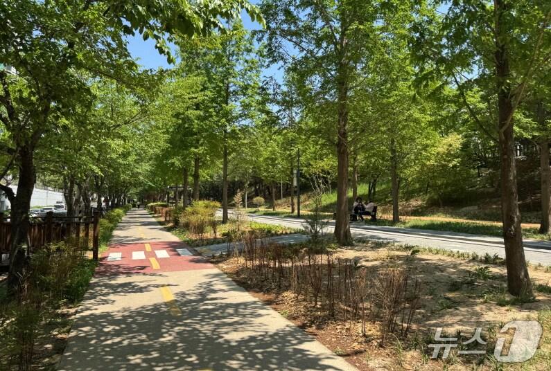 본문 이미지 - 7일 경북 포항시가 포항철길숲 우현지구에 '우현 무장애 도시숲' 구간을 조성했다.(포항시 제공. 제판매 및 DB 금지) 2025.5.7/뉴스1