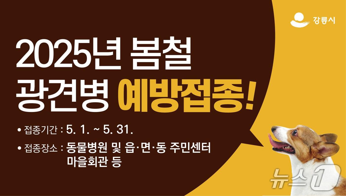 강릉시 광견병 예방접종 홍보물.(강릉시 제공, 재판매 및 DB 금지) 2025.5.8/뉴스1