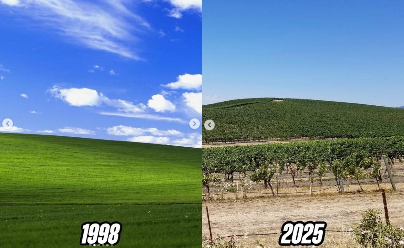 본문 이미지 - 윈도우XP의 배경화면 이미지로 쓰이는 미국 캘리포니아주 나파밸리의 1998년과 2025년 현재 모습. <출처=인스타그램 인사이드히스토리>