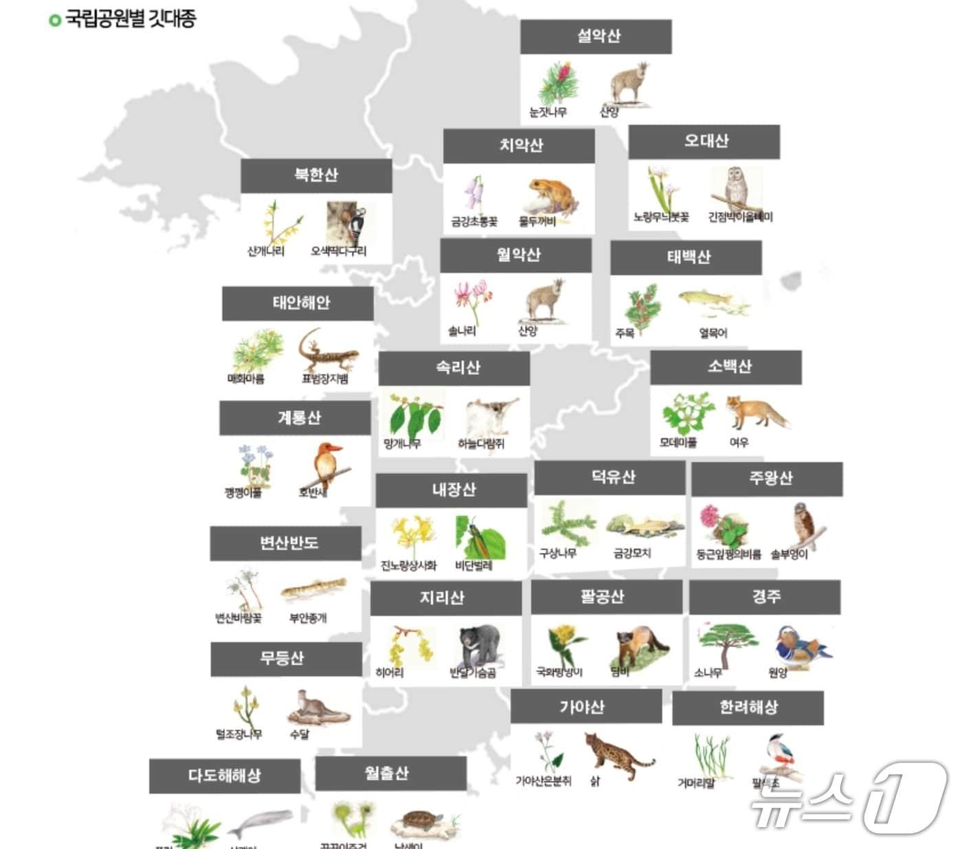 본문 이미지 - 국립공원공단이 국립공원 깃대종 캐릭터 상품을 공모한다.(공단 누리집 캡처. 재판매 및 DB금지)/뉴스1