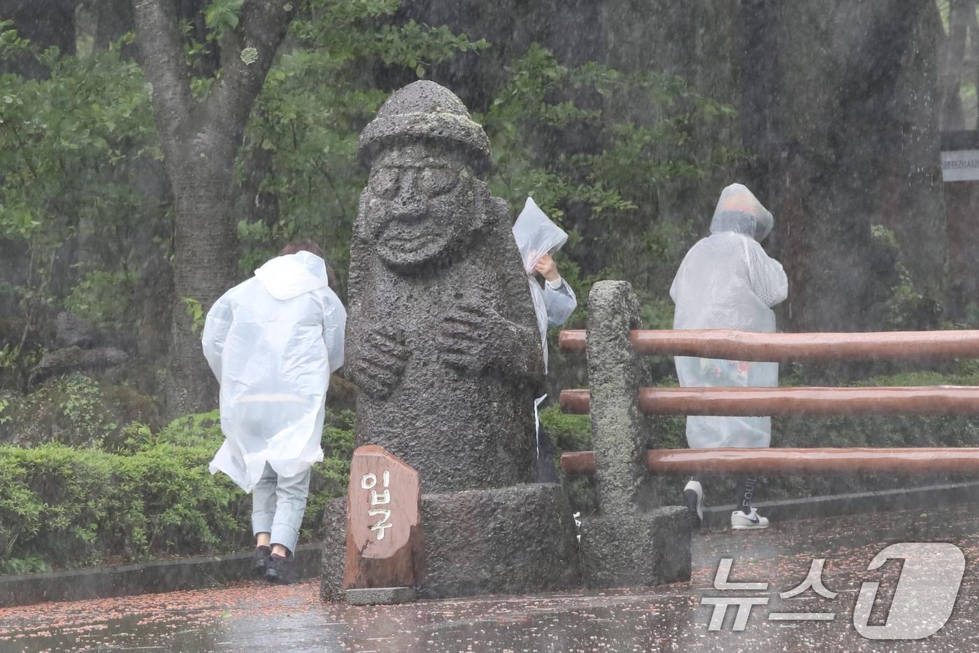 본문 이미지 - 제주 대부분 지역에 호우특보가 내려진 9일 오전 제주시 봉개동 절물자연휴양림에 많은 비가 내려 탐방객이 급히 발걸음을 옮기고 있다. 2025.5.9/뉴스1 ⓒ News1 오현지 기자