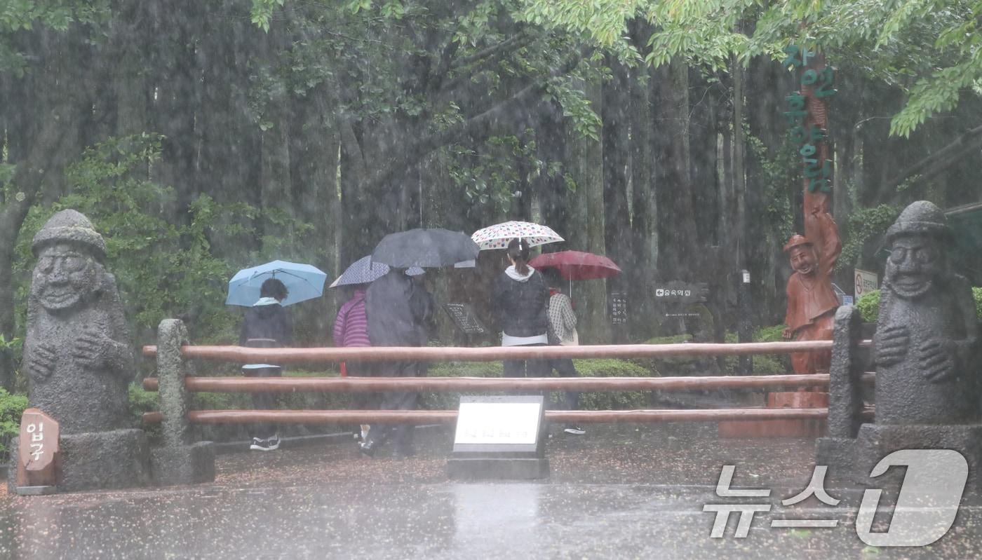 우산을 쓴 탐방객들이 제주시 봉개동 절물자연휴양림을 거닐고 있다.ⓒ News1 오현지 기자